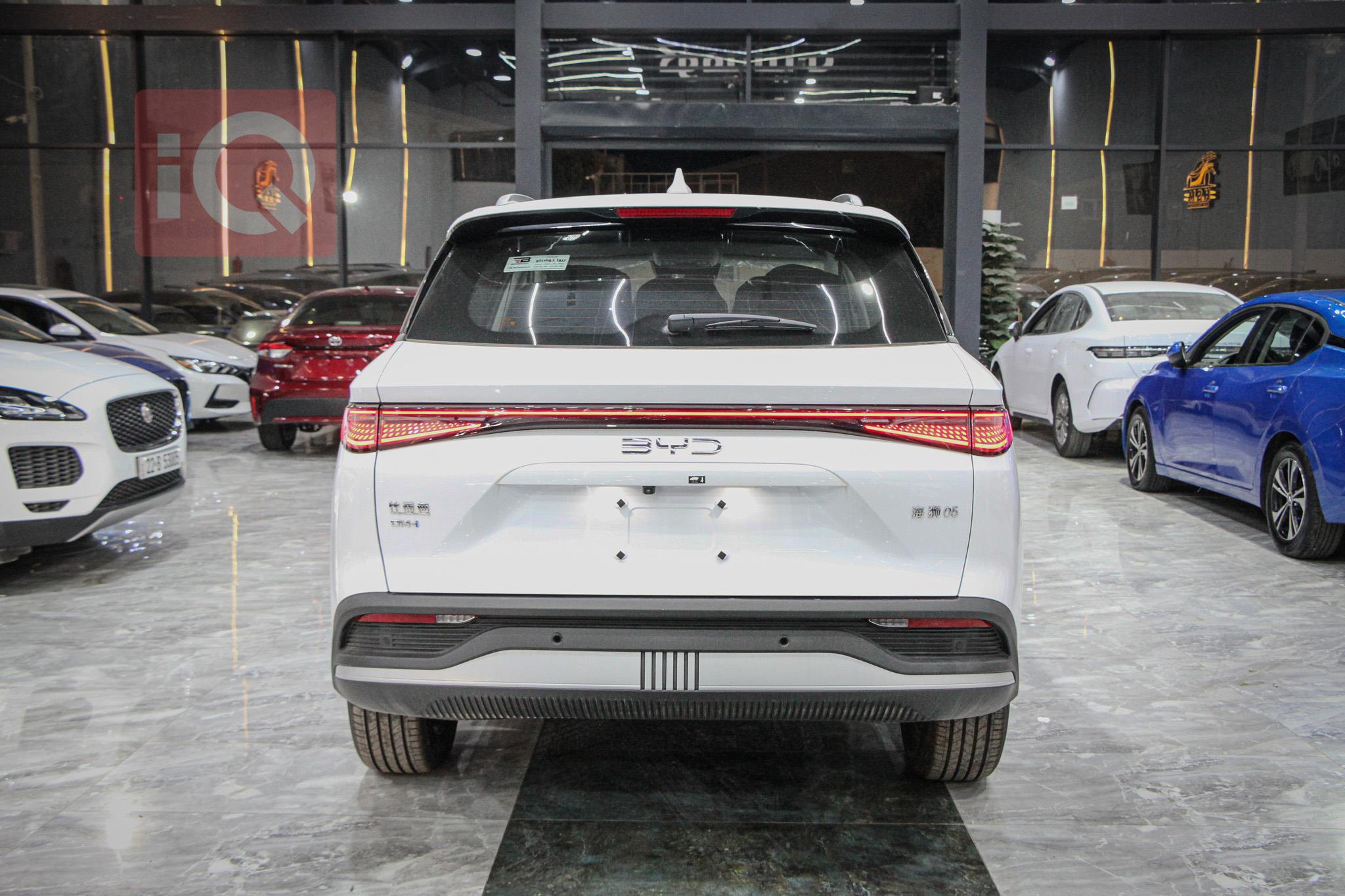 بي واي دي سيليون 05 DM-i